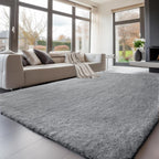Rugs Living Room Rug Area for Bedroom