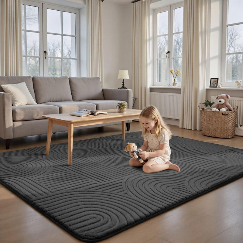 Extra Large Rugs for Living Room Rug