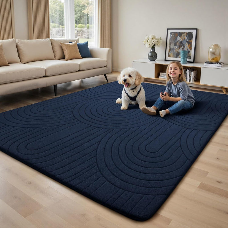 Large Rugs Living Room Washable Rug