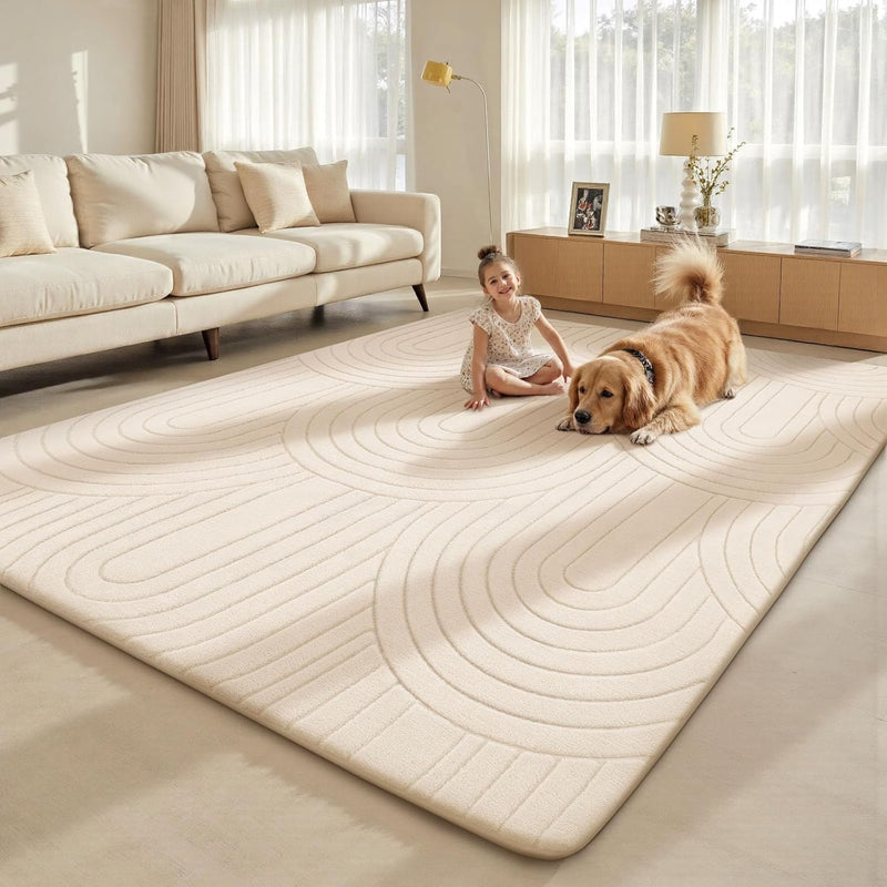 Large Rugs Living Room Washable Rug