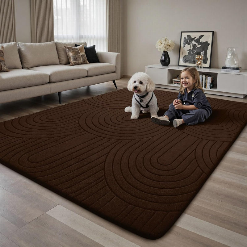 Large Rugs Living Room Washable Rug