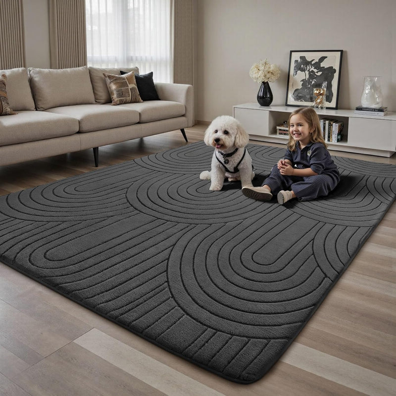 Large Rugs Living Room Washable Rug