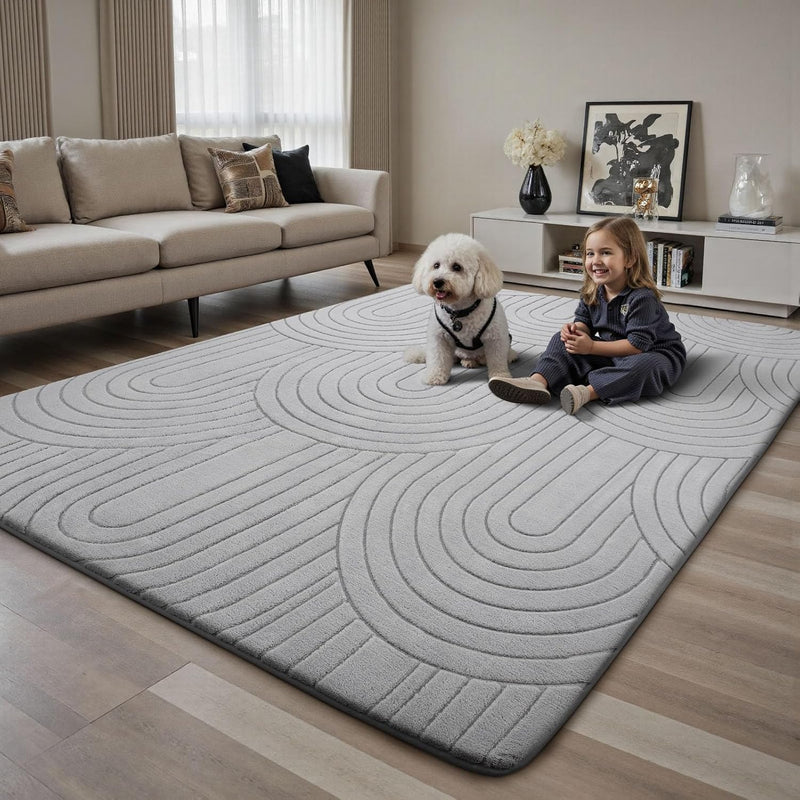 Large Rugs Living Room Washable Rug