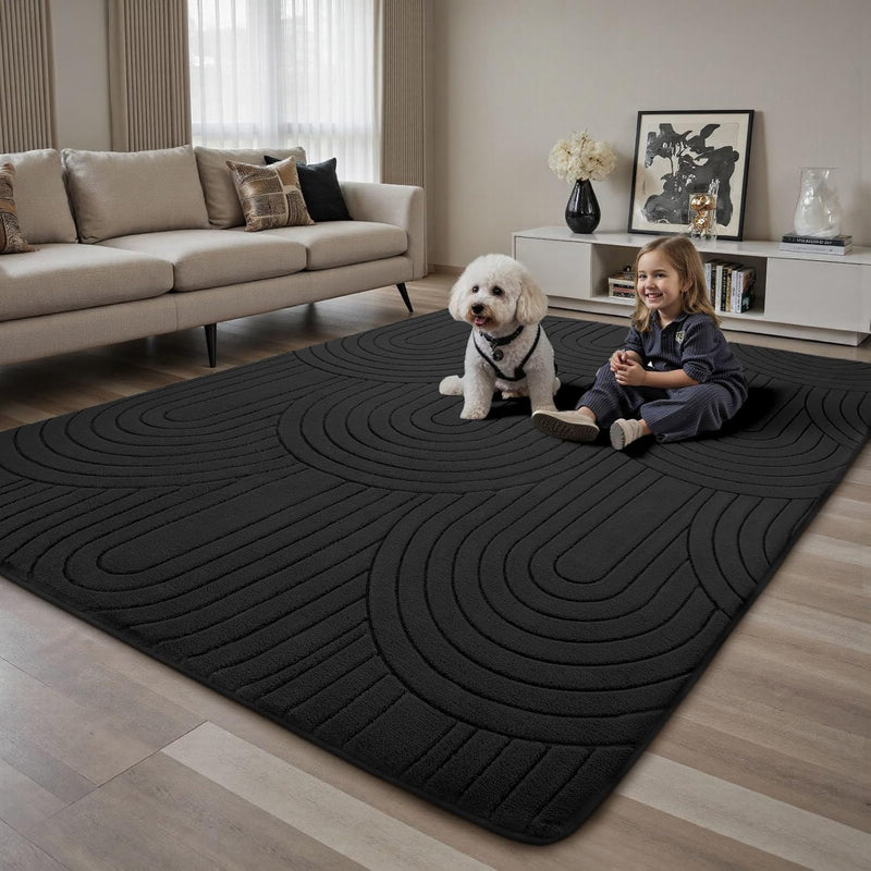 Large Rugs Living Room Washable Rug