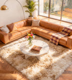 Rugs Living Room Anti Slip Carpet Machine