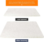 Rugs Living Room Area