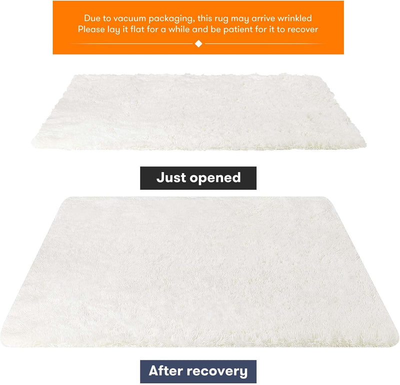 Rugs Living Room Area