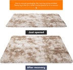 Rugs Living Room Area