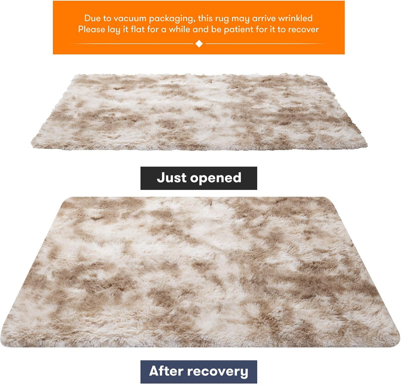 Rugs Living Room Area