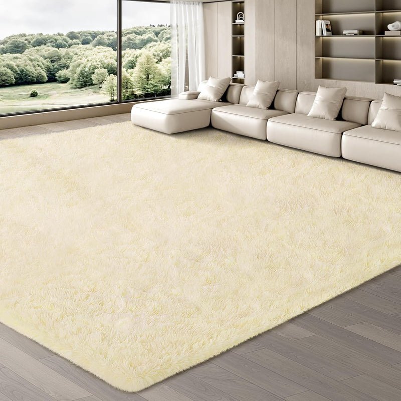 Rugs Living Room Area