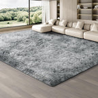 Rugs Living Room Area