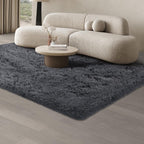 Rugs Living Room Area
