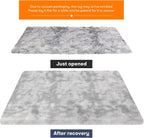 Rugs Living Room Area