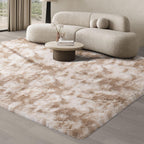 Rugs Living Room Area