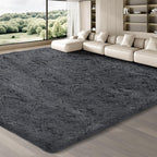 Rugs Living Room Area