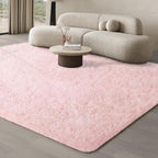 Rugs Living Room Area