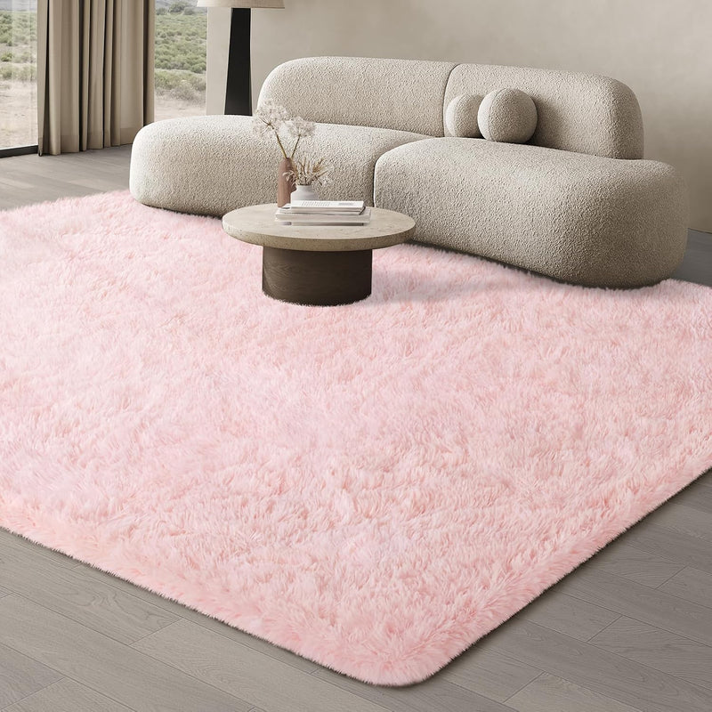 Rugs Living Room Area