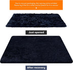 Rugs Living Room Area
