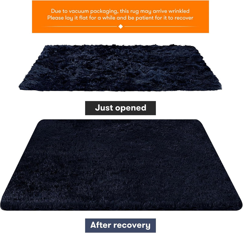 Rugs Living Room Area