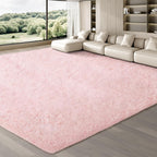 Rugs Living Room Area