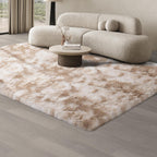Rugs Living Room Area