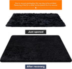 Rugs Living Room Area