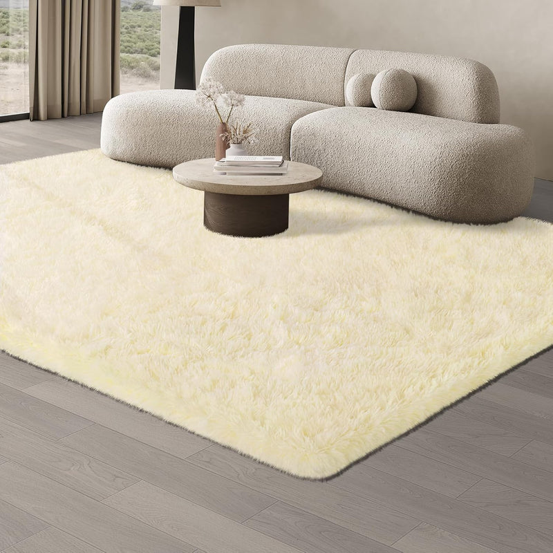 Rugs Living Room Area