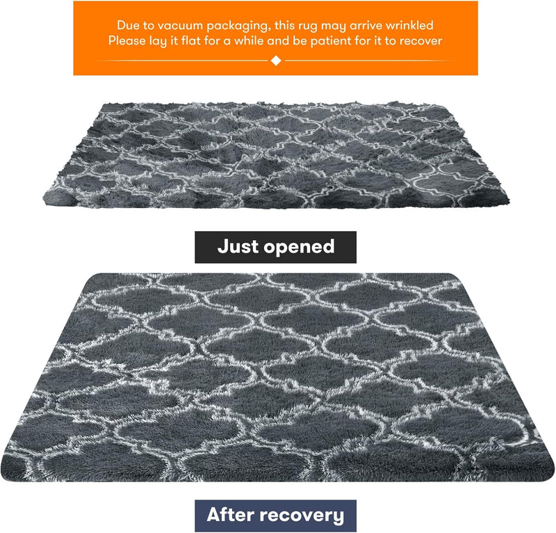 Rugs Living Room Area