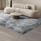 Rugs Living Room Area