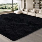 Rugs Living Room Area