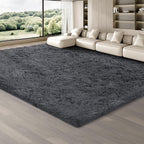 Rugs Living Room Area
