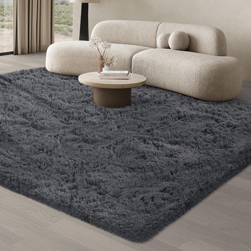 Rugs Living Room Area