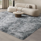 Rugs Living Room Area