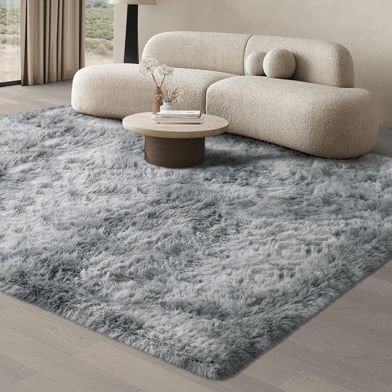 Rugs Living Room Area