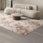 Rugs Living Room Area