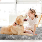 Rugs Living Room Area for Bedroom Washable