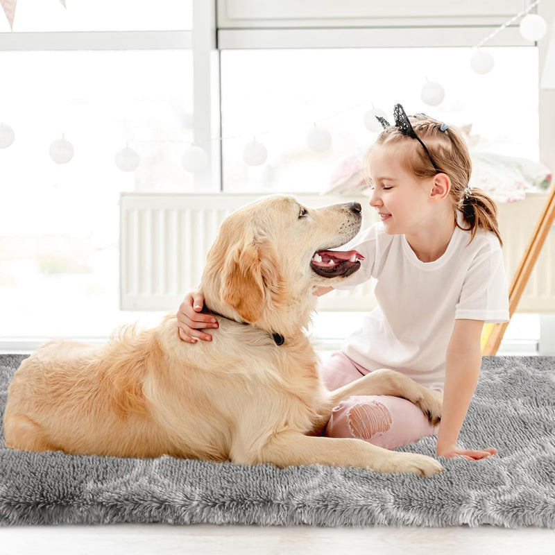 Large Rugs Living Room Shaggy for Bedroom