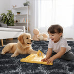 Rugs Living Room Area for Bedroom Washable