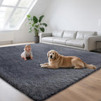 Rugs Living Room - Area for Bedroom Washable