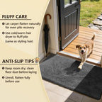 Rugs Living Room - Area for Bedroom Washable