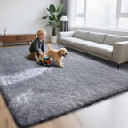 Rugs Living Room - Area for Bedroom Washable