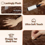 Rugs Living Room - Area for Bedroom Washable