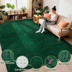 Rugs Living Room - Area for Bedroom Washable