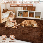 Rugs Living Room - Area for Bedroom Washable