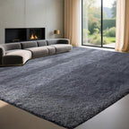 Rugs Living Room - Area for Bedroom Washable
