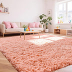 Rugs Living Room - Area for Bedroom Washable