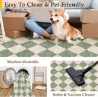 Rugs Living Room Area Rug Washable Bedroom