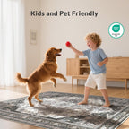 Rugs Living Room Extra Large Washable Short
