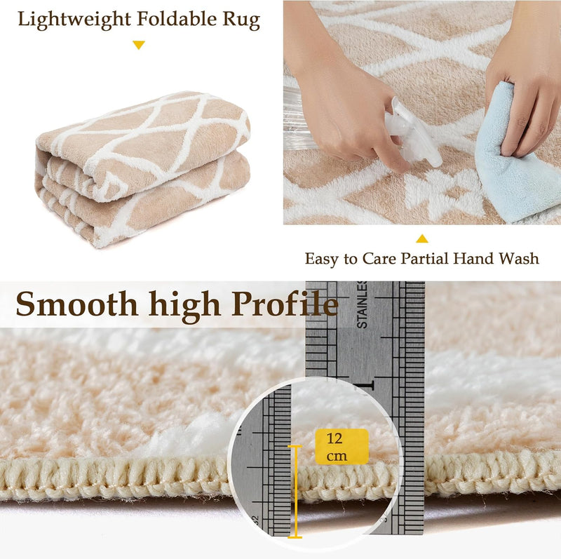 Washable Rug for Living Room Non Slip