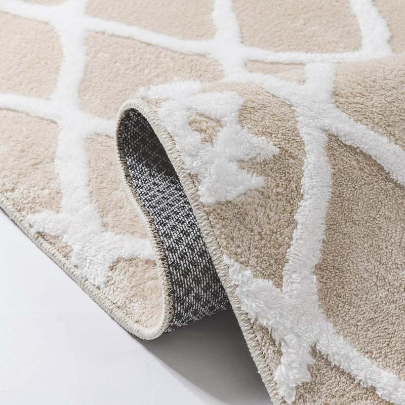 Washable Rug for Living Room Non Slip